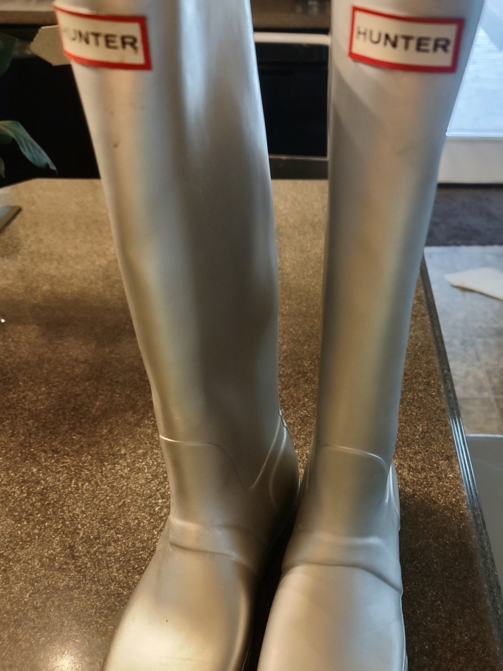 Hunter Metallic Silver Tall Knee Boots for Women